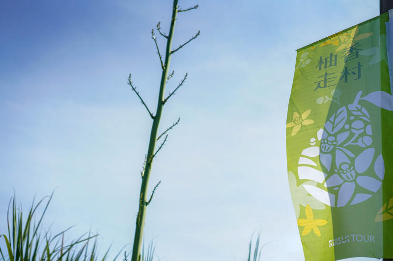 LUVHOPE x 鳴日號｜柚香走村