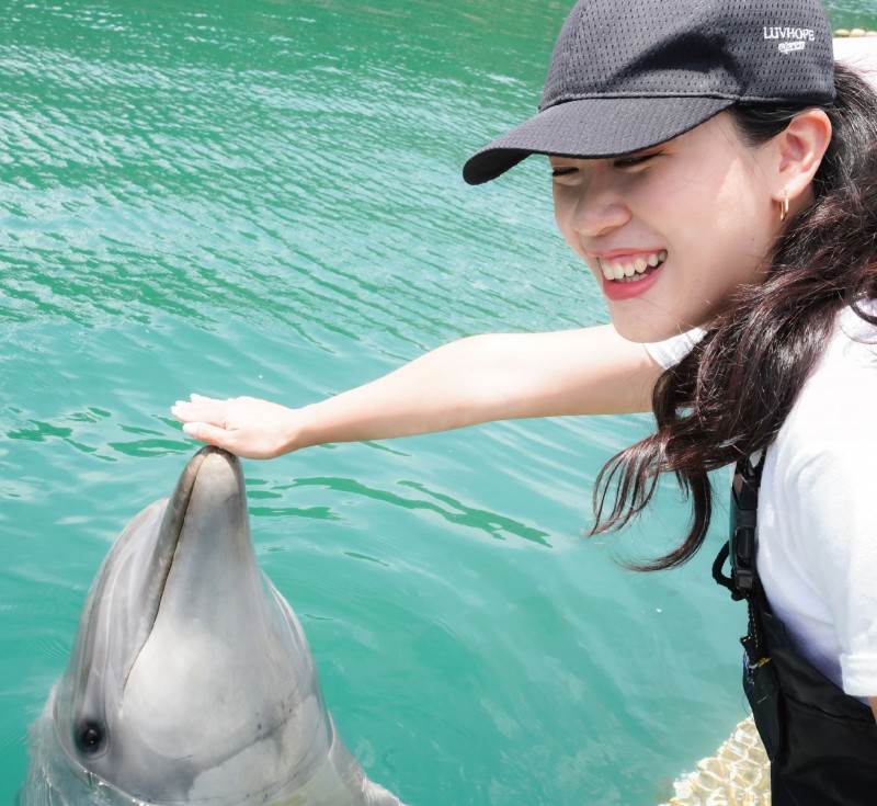 豚躍於淵  海豚公園
