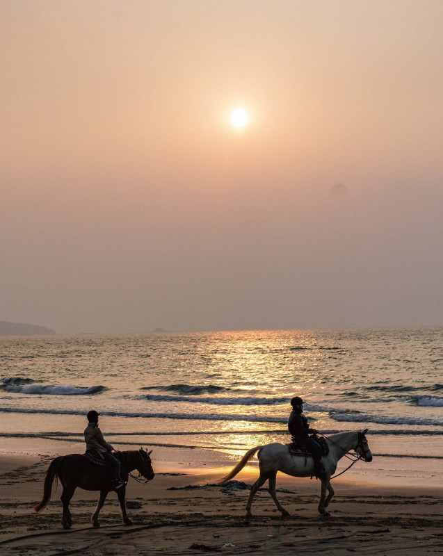 策馬騎行  沿海岸線馳騁
