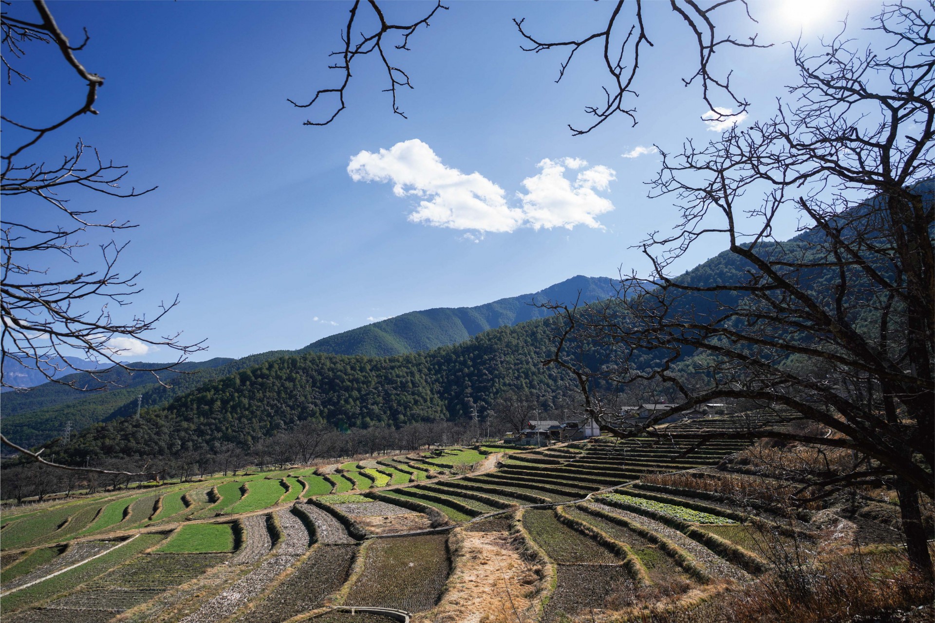 梯田