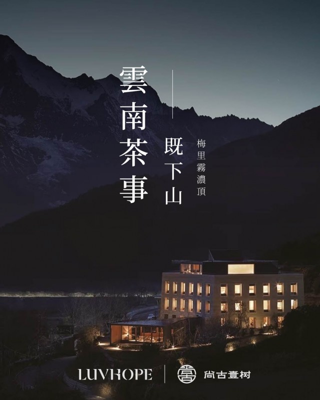雲南茶事｜既下山梅里