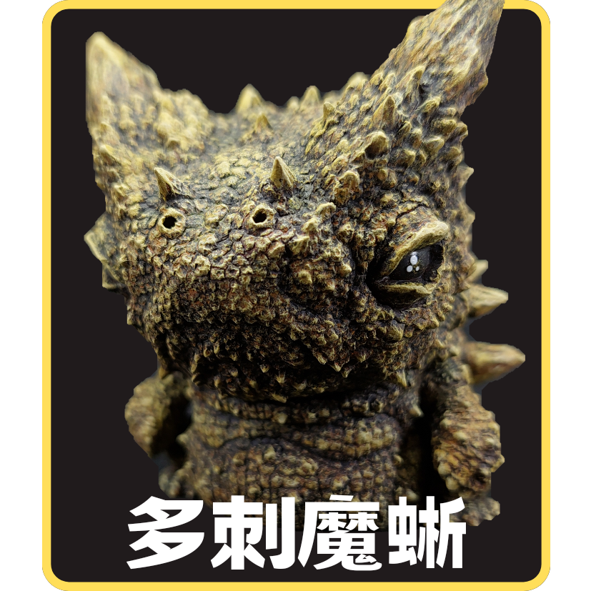 多刺魔蜥