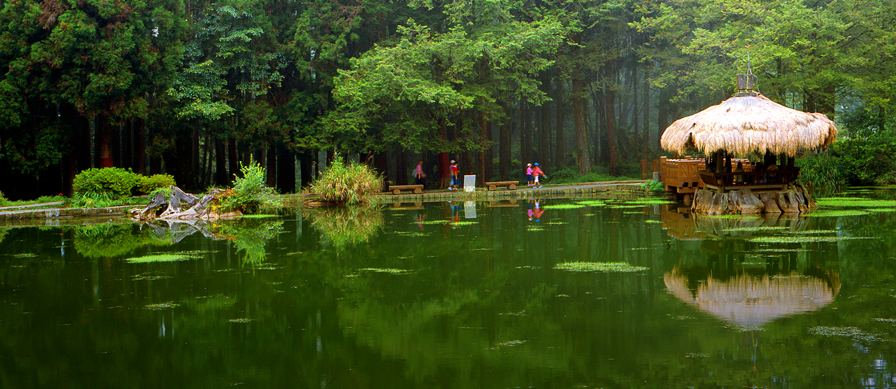 Khu Danh Lam Thắng Cảnh Quốc Gia Núi A Lý