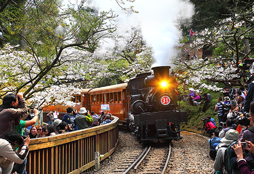 Khu Danh Lam Thắng Cảnh Quốc Gia Núi A Lý