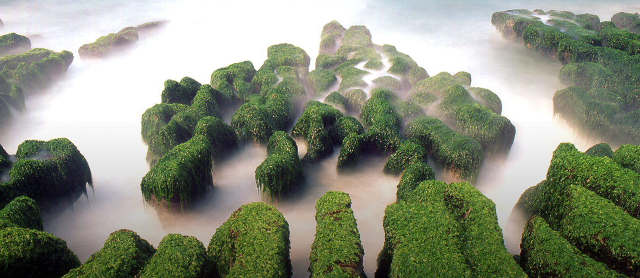 Khu Danh Lam Thắng Cảnh Quốc Gia Bờ Biển Đông Bắc