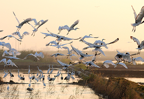 Khu Danh Lam Thắng Cảnh Quốc Gia Bờ Biển Tây Nam