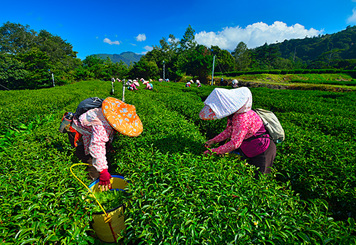 Khu Danh Lam Thắng Cảnh Quốc Gia Ba Ngọn Núi