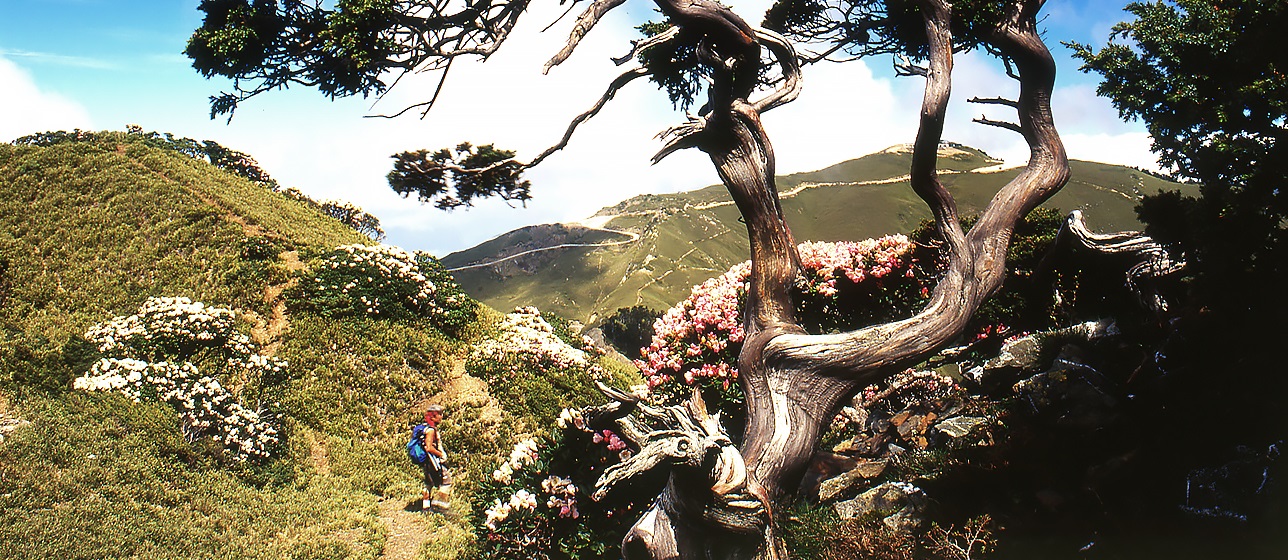 Tour Hai Ngày Ngắm Lá Phong ở Aowanda