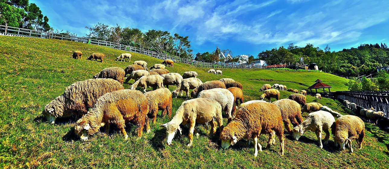 Tour Hai Ngày Ngắm Lá Phong ở Aowanda