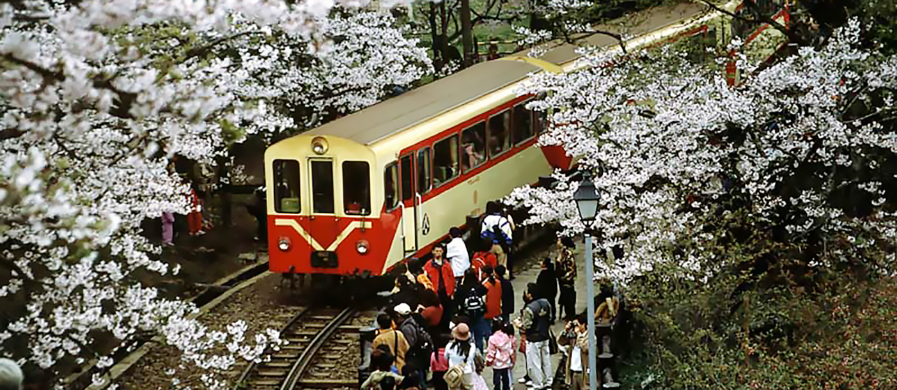 Tour Đi Bộ Hai Ngày ở Alishan