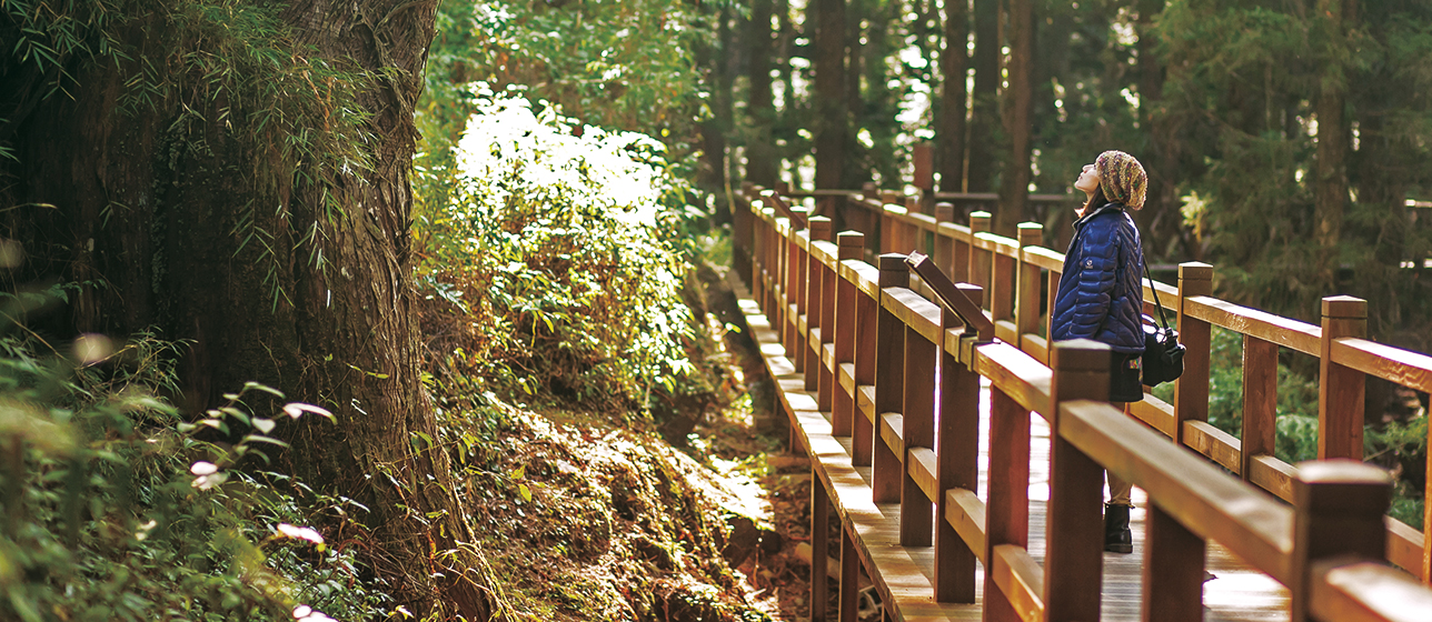 Tour Đi Bộ Hai Ngày ở Alishan