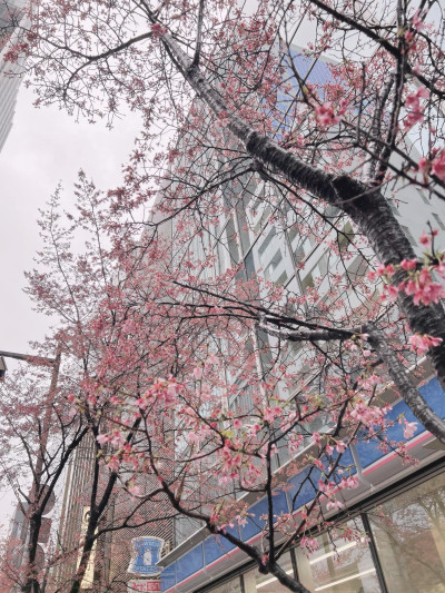 [分享]三月檔期總團清單分享！包含心得分享