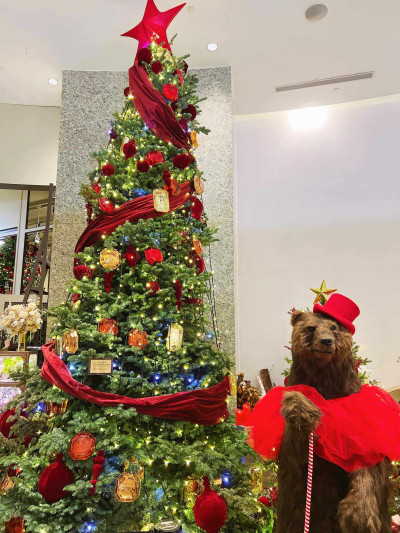 [分享]十二月檔期總團清單分享！包含心得分享